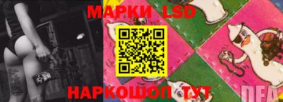 МДПВ Бердск