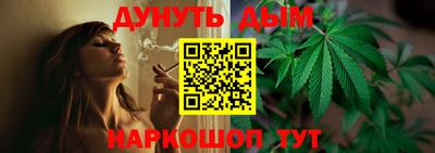 МДПВ Бердск