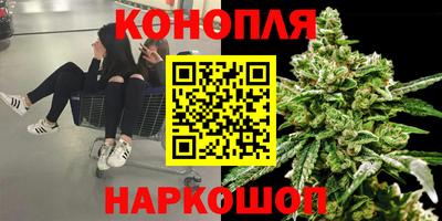 дмт Аша