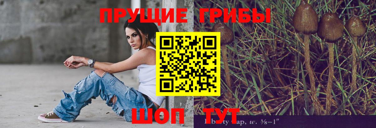 Наркошоп  А ПВП СОЛЬ   Белая Калитва  МАРИХУАНА  Меф   Вход с VPN  ГАШ  Cocaine 